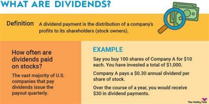 Are dividends around 5% of stock price?