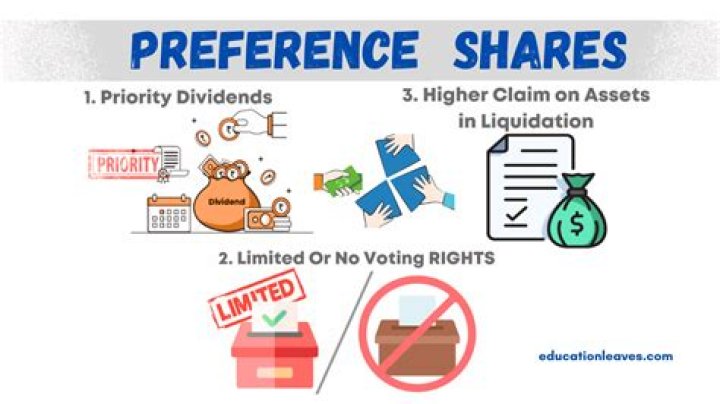 Are preference shares included in Net assets?
