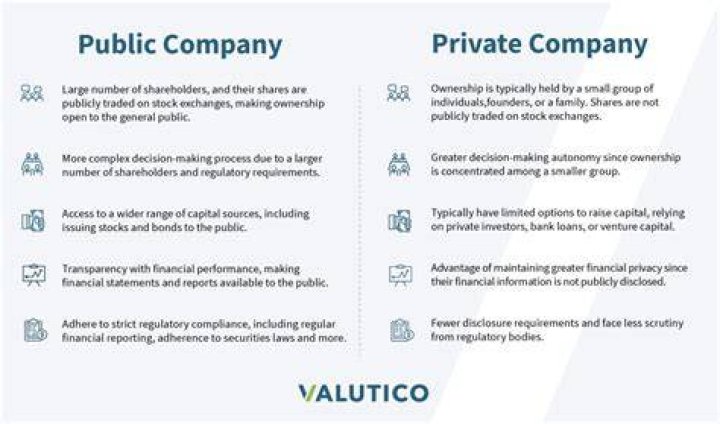 Are there publicly traded accounting firms?