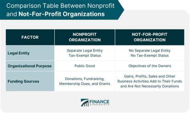 Can a company be nonprofit profit?