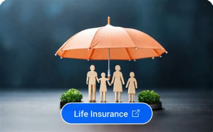 Can I freeze my life insurance policy?