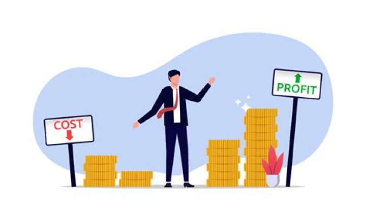 Can I use my company profits for personal use?