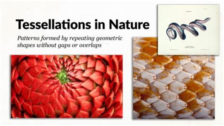 Can non polygonal figures make tessellations?