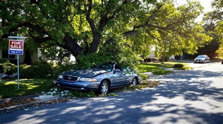 Can you sue for property damage?