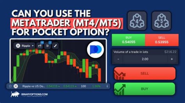 Can you trade without MT4?