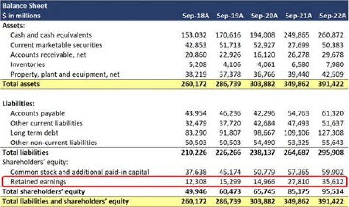 Do liabilities appear on the balance sheet?