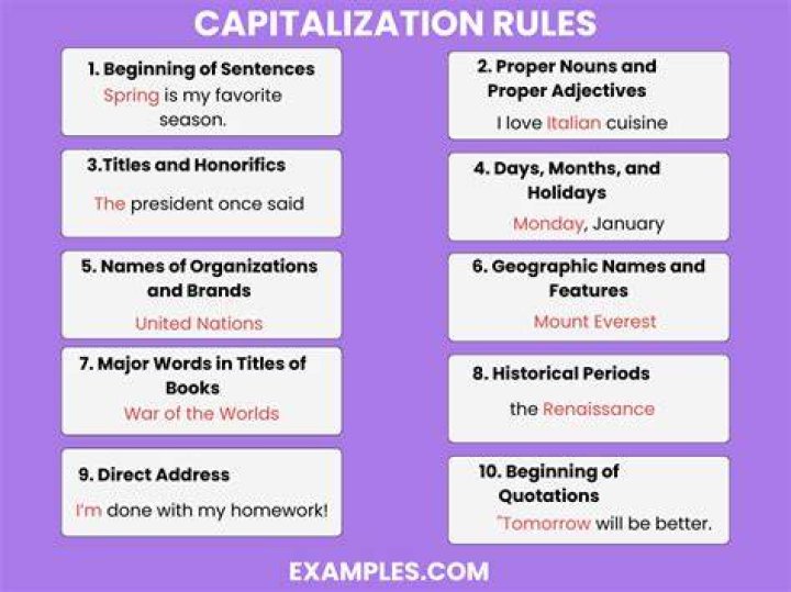 Do you capitalize companies in a sentence?