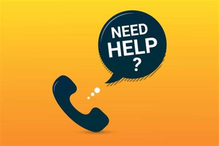 Do you need assistance Meaning?