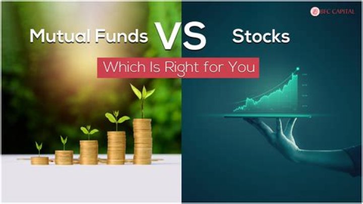 Do you own the stocks in a mutual fund?