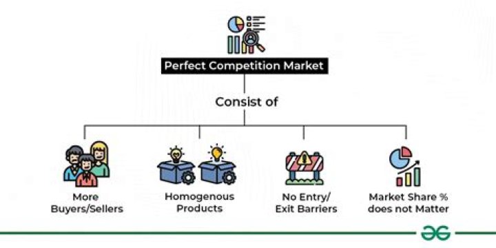 Does competitive market use resources efficiently?