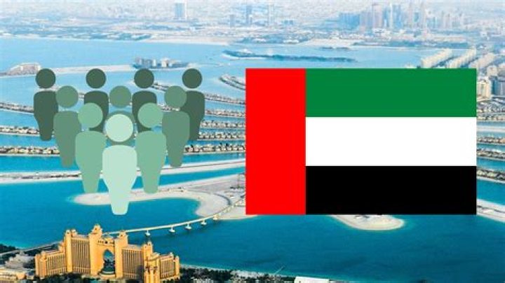 Does Dubai have its own government?