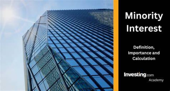 Does Net assets include minority interest?
