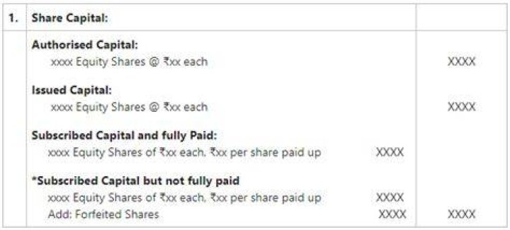 Does paid up share capital include preference shares?
