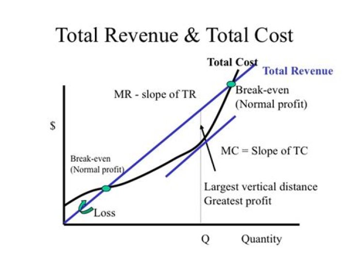 Does profit equals total revenue minus total cost?