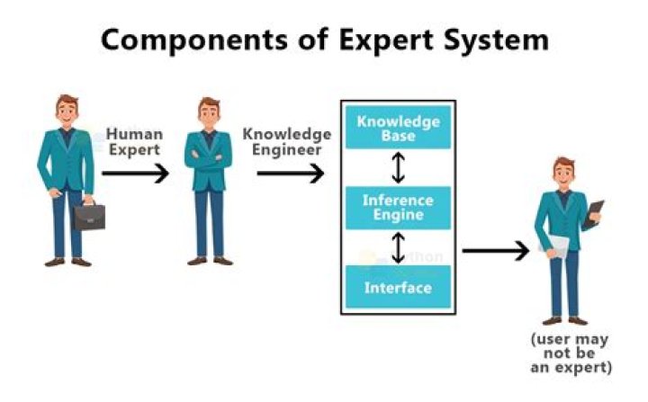 How an expert system can be used by Organisations?