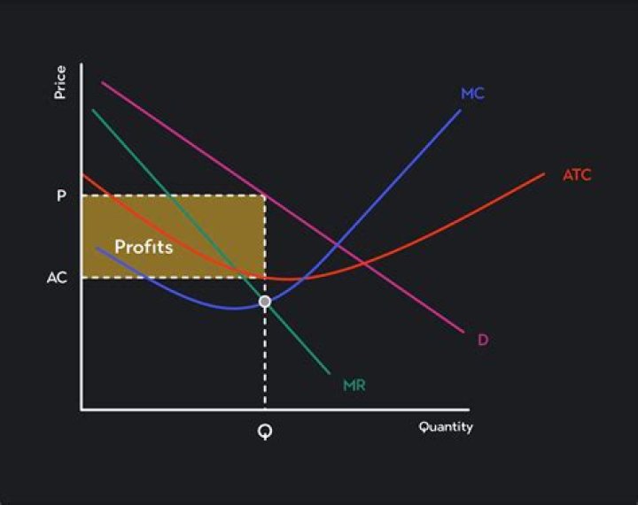 How are profits paid out to stockholders sometimes?