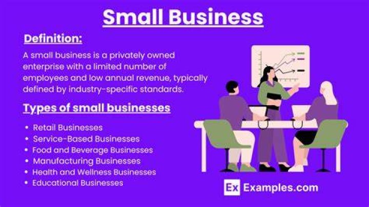 How are small businesses defined what is the nature of business?