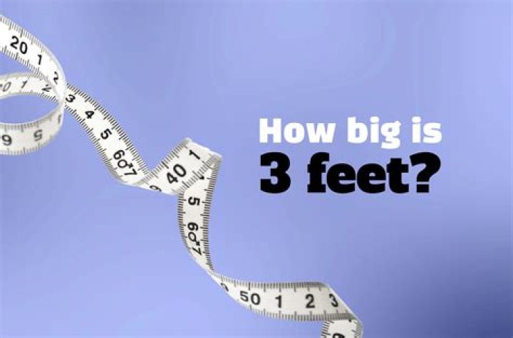 How big is the daw market?