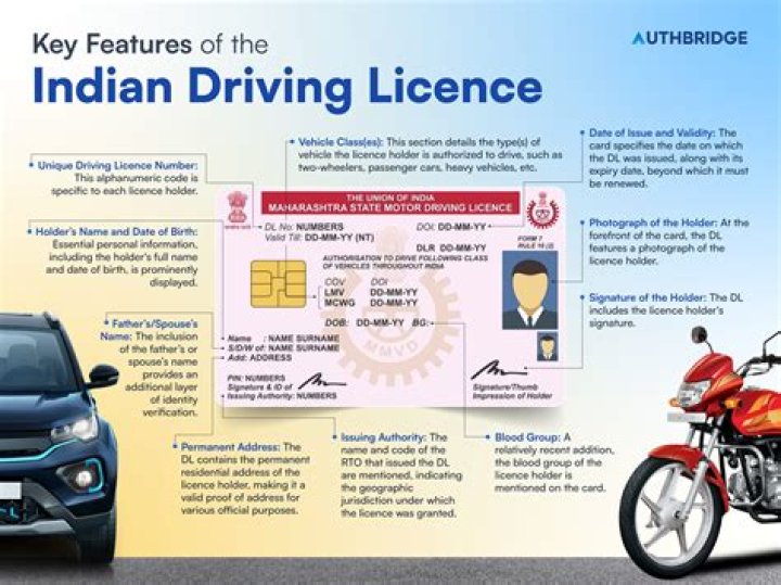 How can I get Nvocc license in India?