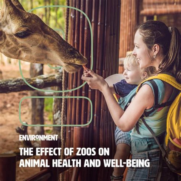 How can we protect against anthrax?