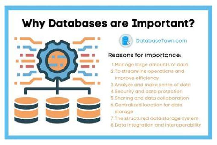 How databases are used to improve a business?