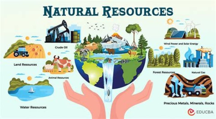 How do humans use the resources in the environment?