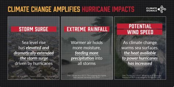 How do hurricanes affect the environment?