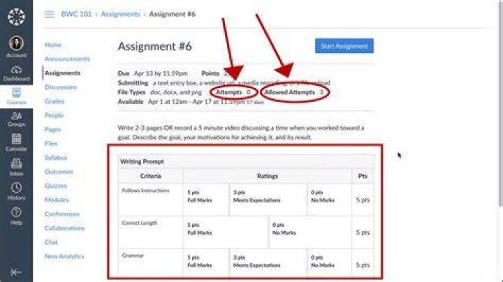 How do I complete this assignment?