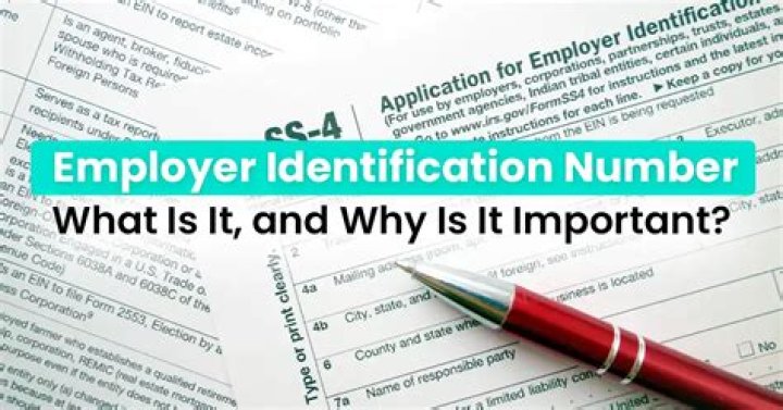How do I file my taxes without a employer Identification Number?