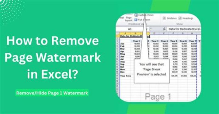 How do I get rid of the Page 1 watermark in Excel?