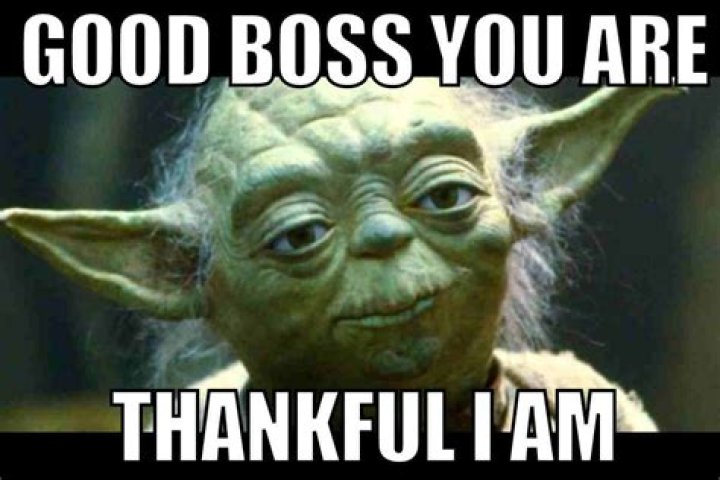 How do I make my boss shine?