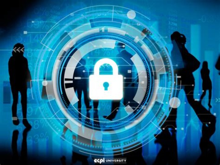 How do information systems help organizations?
