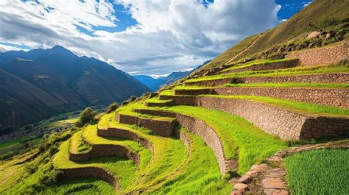 How do people farm in the Andes mountains?
