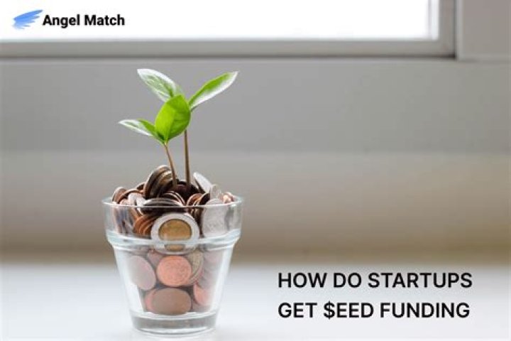 How do startups get seed funding?