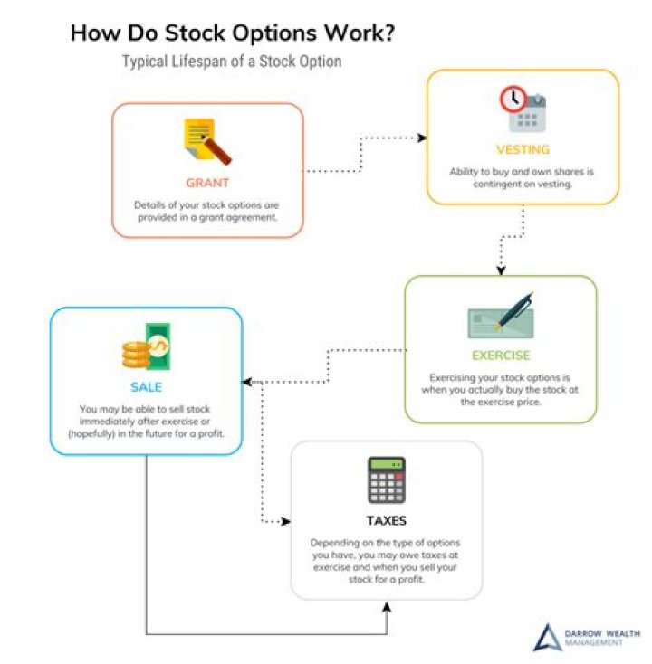 How do stock option programs work?