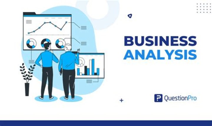 How do you Analyse a business?