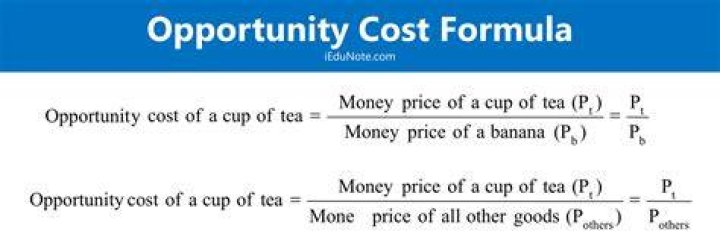 How do you calculate opportunity cost examples?