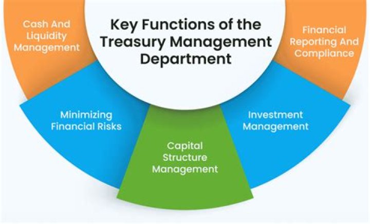 How do you manage treasury functions?