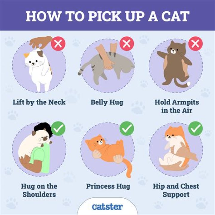 How do you pick a catchy name?