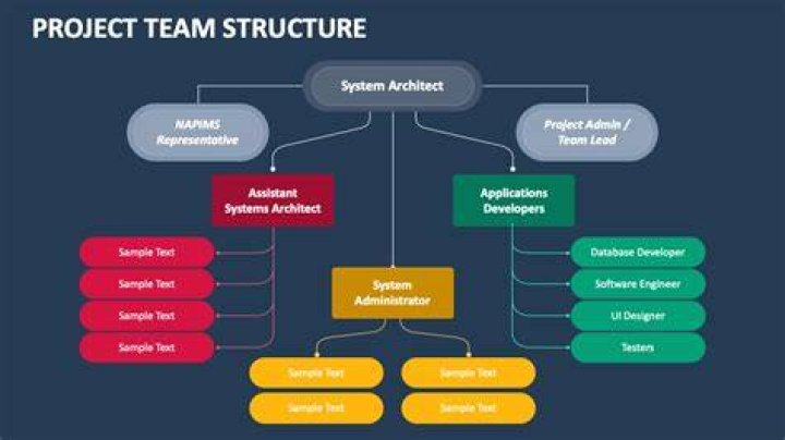 How do you structure a project team?
