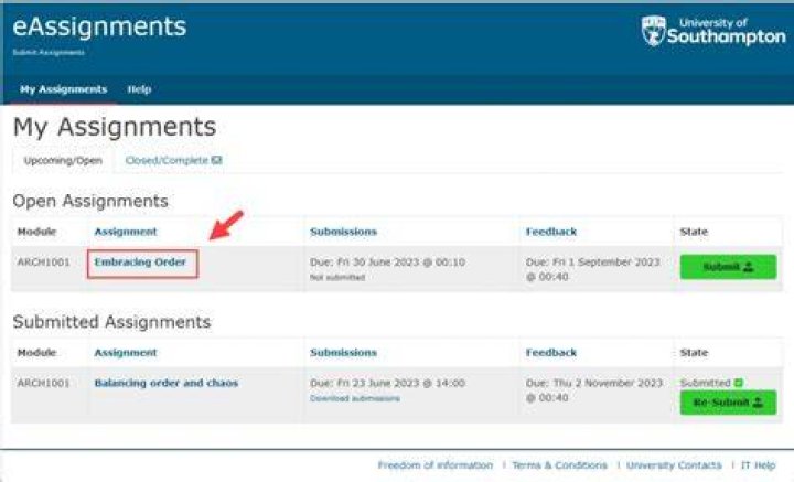 How do you submit assignments politely?