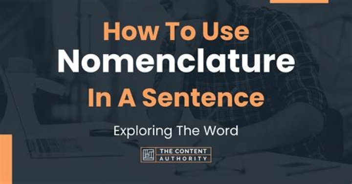 How do you use the word nomenclature in a sentence?