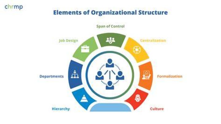 How does management contribute to the success of an Organisation?