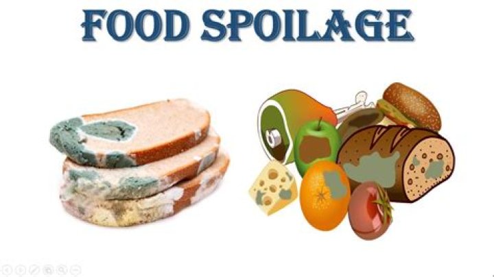 How does one determine which spoilage is normal and which is abnormal?