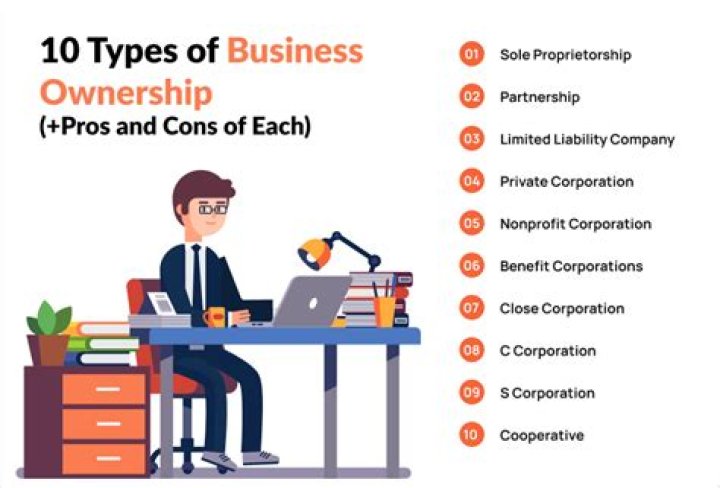 How does ownership of a company work?