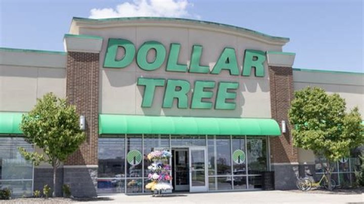 How does the dollar store make a profit?