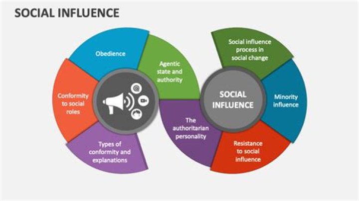 How does the local government influence a business?