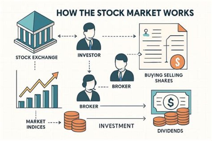 How does the stock market exchange work?