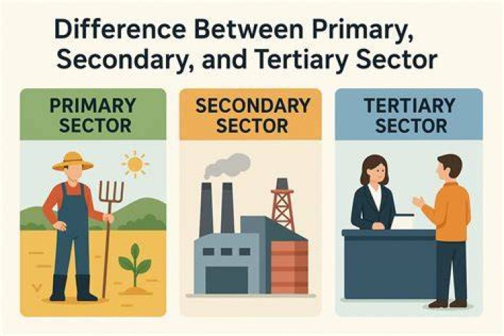 How has the tertiary sector growing?