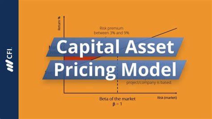 How is beta used in the capital asset pricing model?